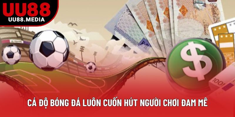 Cá độ bóng đá luôn cuốn hút người chơi đam mê Cá độ bóng đá luôn cuốn hút người chơi đam mê