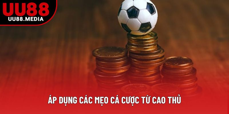 Áp dụng các mẹo cá cược từ cao thủ Áp dụng các mẹo cá cược từ cao thủ