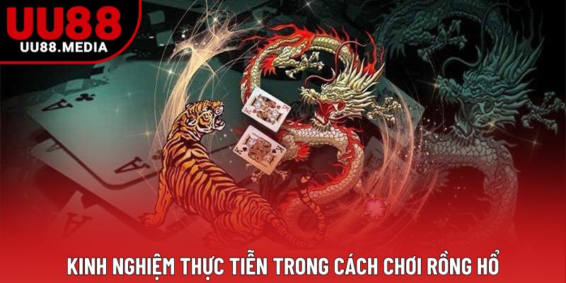 Kinh nghiệm thực tiễn trong cách chơi rồng hổ Kinh nghiệm thực tiễn trong cách chơi rồng hổ